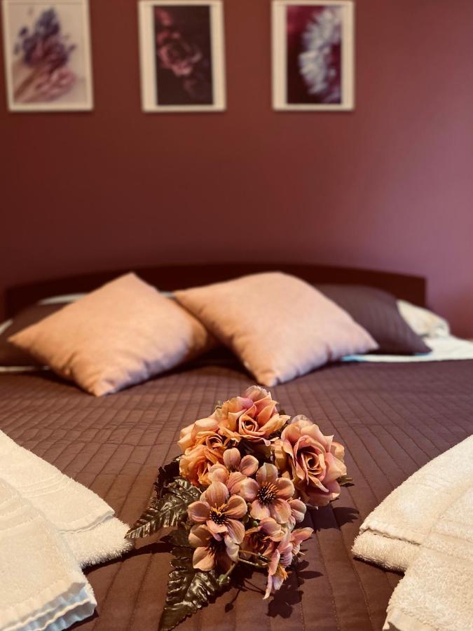 Dreams In Rome - Colosseum Apartment Экстерьер фото