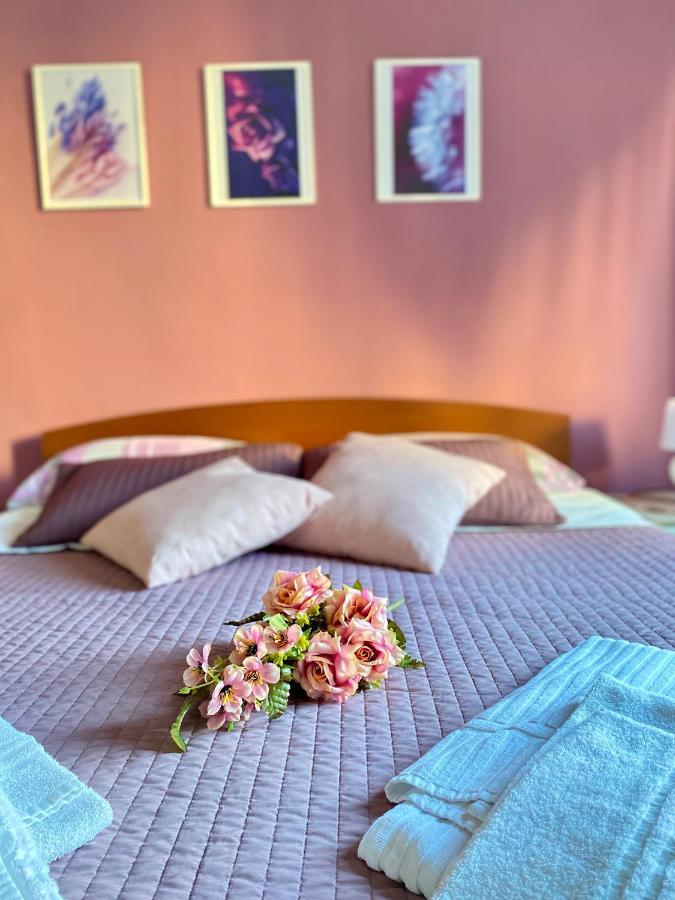 Dreams In Rome - Colosseum Apartment Экстерьер фото
